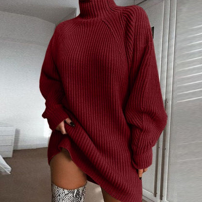 Solid Turtleneck Long Sweater Winter Warm Women Sweater Dress - Better Life